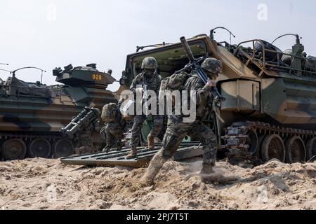 HWAJIN-RI BEACH, Republik Korea (29. März 2023) – die Marines der Republik Korea begeben sich von koreanischen amphibischen Angriffsfahrzeugen für einen amphibischen Angriff während Ssang Yong 23 in eine Sicherheitsstellung. Anlässlich des 70.-jährigen Bestehens der Allianz zwischen den USA und der Russischen Föderation stärkt Ssang Yong 2023 die Allianz durch bilaterale gemeinsame Schulungen, trägt zur gemeinsamen Verteidigung der koreanischen Halbinsel durch die Russische Föderation bei und erhöht die Bereitschaft der Allianz zwischen den USA und der Russischen Föderation. (USA Marinekorps Foto von CPL. Austin Gillam) Stockfoto