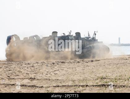 HWAJIN-RI BEACH, Republik Korea (29. März 2023) – USA Navy-Matrosen, die der Angriffsflotteneinheit 5 zugeteilt sind, steuern ein Landungsschiff, Luftkissen am Strand während einer Amphibienübung für Ssang Yong 23. Wir feiern den 70. Jahrestag der USA - ROK-Allianz, Ssang Yong 2023 stärkt die Allianz durch bilaterale, gemeinsame Ausbildung, trägt zur gemeinsamen Verteidigung der koreanischen Halbinsel bei und erhöht die Bereitschaft der USA - ROK-Allianz. (USA Marinekorps Foto von Staff Sgt. Kevin G. Rivas) Stockfoto