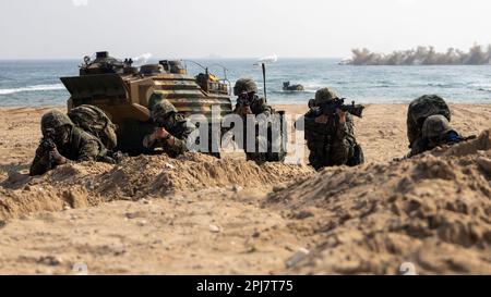 HWAJIN-RI BEACH, Republik Korea (29. März 2023) – die Marines der Republik Korea bieten Sicherheit während einer Übung zum amphibischen Angriff für Ssang Yong 23. Wir feiern den 70. Jahrestag der USA - ROK-Allianz, Ssang Yong 2023 stärkt die Allianz durch bilaterale, gemeinsame Ausbildung, trägt zur gemeinsamen Verteidigung der koreanischen Halbinsel bei und erhöht die Bereitschaft der USA - ROK-Allianz. (USA Marinekorps Foto von Staff Sgt. Kevin G. Rivas) Stockfoto