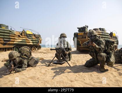 HWAJIN-RI BEACH, Republik Korea (29. März 2023) – die Marines der Republik Korea bieten Sicherheit während einer Übung zum amphibischen Angriff für Ssang Yong 23. Wir feiern den 70. Jahrestag der USA - ROK-Allianz, Ssang Yong 2023 stärkt die Allianz durch bilaterale, gemeinsame Ausbildung, trägt zur gemeinsamen Verteidigung der koreanischen Halbinsel bei und erhöht die Bereitschaft der USA - ROK-Allianz. (USA Marinekorps Foto von Staff Sgt. Kevin G. Rivas) Stockfoto