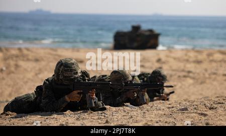 HWAJIN-RI BEACH, Republik Südkorea (28. März 2023) – während Ssang Yong 23 bieten Marines der Republik Korea Sicherheit an einem Strand. Anlässlich des 70.-jährigen Bestehens der Allianz zwischen den USA und der Russischen Föderation stärkt Ssang Young 2023 die Allianz durch bilaterale gemeinsame Schulungen, trägt zur gemeinsamen Verteidigung der koreanischen Halbinsel durch die Russische Föderation bei und erhöht die Bereitschaft der Allianz zwischen den USA und der Russischen Föderation. (USA Marinekorps Foto von Sergeant Nicolas Atehortua) Stockfoto