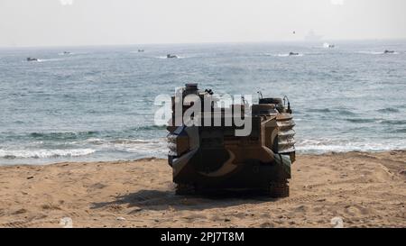 HWAJIN-RI BEACH, Republik Korea (29. März 2023) - während einer Übung zum amphibischen Angriff für Ssang Yong 23 fahren die Marines der Republik Korea ein koreanisches Amphibienfahrzeug an den Strand. Wir feiern den 70. Jahrestag der USA - ROK-Allianz, Ssang Yong 2023 stärkt die Allianz durch bilaterale, gemeinsame Ausbildung, trägt zur gemeinsamen Verteidigung der koreanischen Halbinsel bei und erhöht die Bereitschaft der USA - ROK-Allianz. (USA Marinekorps Foto von Staff Sgt. Kevin G. Rivas) Stockfoto