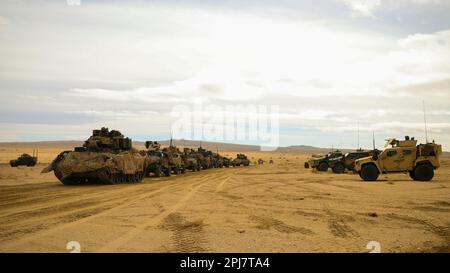 USA Soldaten, die dem "Hound Battalion" zugeteilt sind 3. Bataillon, 67. Panzerregiment, 2. Kampfteam der Panzerbrigade, 3. Infanterie-Division, stellen ihre Militärfahrzeuge in Fort Irwin, Kalifornien, am 24. Februar 2023 auf. Die Spartanische Brigade, die modernste Brigade der Armee, schloss ihre Rotation NTC 23-05 ab und machte sie nicht nur zur bestausgestatteten, sondern auch zur tödlichsten Einheit im amerikanischen Arsenal, während die Armee sich dem Aufbau der Armee von 2030 nähert. (USA Armeefoto von Sergeant Dre Stout, 50. Abteilung Öffentliche Angelegenheiten) Stockfoto