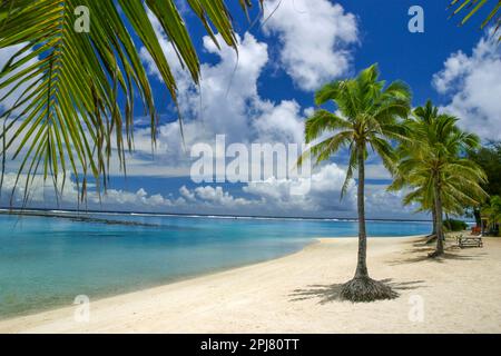 Südpazifische tropische Szene mit einer idyllischen Lagune von Rarotongas mit Strand und Palmen, den Cook Islands. Stockfoto