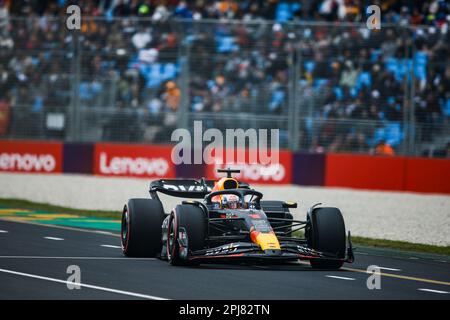 01 VERSTAPPEN Max (nld), Red Bull Racing RB19, Action während der 2. Runde der FIA Formel-3-Meisterschaft 2023 von 31. März bis 2. April 2023 auf dem Albert Park Circuit in Melbourne, Australien – Photo Xavi Bonilla/DPPI Stockfoto