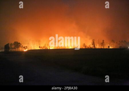 La Belga Baja, Spanien. 31. März 2023. La Belga Baja, SPANIEN: Bei mehr als hundert Bränden in Asturien am 31. März 2023, in La Belga Baja, Spanien, greift ein Feuer auf das Land ein. (Foto: Alberto Brevers/Pacific Press) Kredit: Pacific Press Media Production Corp./Alamy Live News Stockfoto