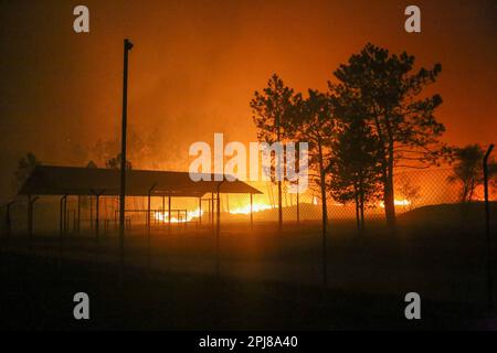 La Belga Baja, Spanien. 31. März 2023. La Belga Baja, SPANIEN: Bei mehr als hundert Bränden in Asturien am 31. März 2023, in La Belga Baja, Spanien, greift ein Feuer auf das Land ein. (Foto: Alberto Brevers/Pacific Press) Kredit: Pacific Press Media Production Corp./Alamy Live News Stockfoto