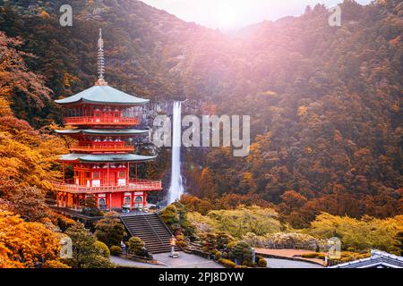 Nachi, Japan mit Herbstfarben. Stockfoto