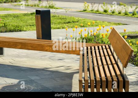 Holzbank und Abfalleimer im Stadtpark am sonnigen Morgen Stockfoto