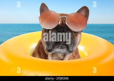 Süßer lustiger Hund mit Sonnenbrille im aufblasbaren Ring am haustierfreundlichen Strand Stockfoto