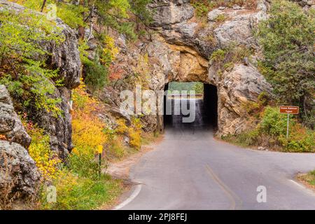 Doane Robinson Tunnel entlang der malerischen Iron Mountain Road zwischen Mount Rushmore und Custer State Park, South Dakota, Vereinigte Staaten von Amerika Stockfoto