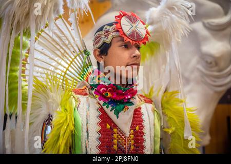 Lakota Sioux Indianer-Stammestanz im Crazy Horse Memorial, Black Hills, South Dakota, Vereinigte Staaten von Amerika Stockfoto