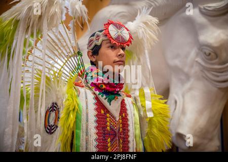 Lakota Sioux Indianer-Stammestanz im Crazy Horse Memorial, Black Hills, South Dakota, Vereinigte Staaten von Amerika Stockfoto