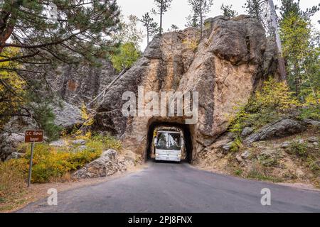 Doane Robinson Tunnel entlang der malerischen Iron Mountain Road zwischen Mount Rushmore und Custer State Park, South Dakota, Vereinigte Staaten von Amerika Stockfoto