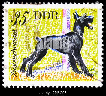 MOSKAU, RUSSLAND - 25. MÄRZ 2023: In Deutschland gedruckter Poststempel zeigt Giant Schnauzer (Canis lupus familiaris), Service and Use Dogs Serie, circa 19 Stockfoto
