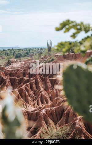 Extremes Klima und Kakteen in der Tatacoa-Roten Wüste Kolumbien Villavieja Stockfoto