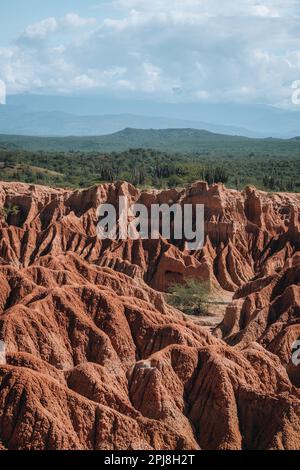 Extremes Klima und Kakteen in der Tatacoa-Roten Wüste Kolumbien Villavieja Stockfoto