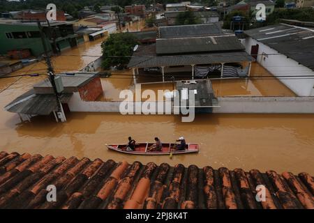 Rio Branco, Brasilien. 31. März 2023. Einwohner fahren mit einem Boot auf einer wasserbefahrenen Straße in Rio Branco, Brasilien, 31. März 2023. Die Überschwemmung in der nordwestlichen Grenzregion Brasiliens hatte direkte Auswirkungen auf Leben und Eigentum der Einwohner in den Gemeinden Rio Branco und entlang des Acre Flusses. Kredit: Lucio Tavora/Xinhua/Alamy Live News Stockfoto