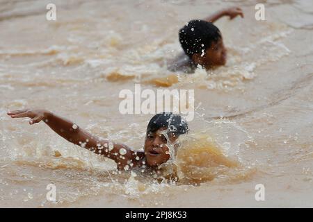 Rio Branco, Brasilien. 31. März 2023. Jungs schwimmen im Hochwasser in Rio Branco, Brasilien, 31. März 2023. Die Überschwemmung in der nordwestlichen Grenzregion Brasiliens hatte direkte Auswirkungen auf Leben und Eigentum der Einwohner in den Gemeinden Rio Branco und entlang des Acre Flusses. Kredit: Lucio Tavora/Xinhua/Alamy Live News Stockfoto