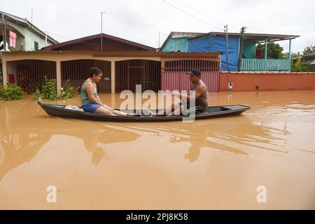 Rio Branco, Brasilien. 31. März 2023. Einwohner fahren mit einem Boot auf einer wasserbefahrenen Straße in Rio Branco, Brasilien, 31. März 2023. Die Überschwemmung in der nordwestlichen Grenzregion Brasiliens hatte direkte Auswirkungen auf Leben und Eigentum der Einwohner in den Gemeinden Rio Branco und entlang des Acre Flusses. Kredit: Lucio Tavora/Xinhua/Alamy Live News Stockfoto