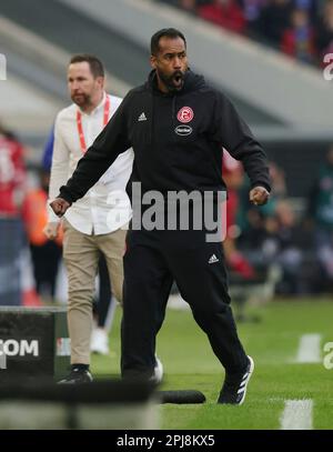 Düsseldorf, Deutschland. 31. März 2023. firo : 03/31/2023, Fußball, 2. Division, 2. Bundesdivision, Staffel 2022/2023, Fortuna Düsseldorf - HSV Hamburg, HSV Hamburg Hamburg Hamburg 2: 2 Coach Daniel THIOUNE, Fortuna, Jubiläumsgutschein: dpa/Alamy Live News Stockfoto