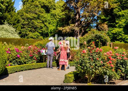 29. Dezember 2022: Christchurch, Neuseeland - Eine Familie von Touristen, die Hüte tragen und auf ein Schild im Rosengarten, Chritchurch Botanic Gardens, schauen Stockfoto