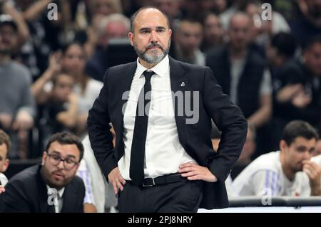 Belgrad. 31. März 2023. Der Cheftrainer von Real Madrid, Chus Mateo, schaut während der regulären Saisonrunde 32 auf das Euroleague-Basketballspiel zwischen Partizan und Real Madrid in Belgrad, Serbien, am 31. März 2023. Kredit: Predrag Milosavljevic/Xinhua/Alamy Live News Stockfoto