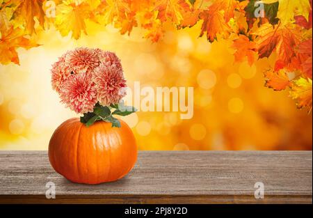 Herbstblätter über wunderschönen Korallenblumen in Kürbis auf Holztisch, Platz für Text Stockfoto