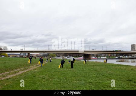 Dresden, Deutschland. 01. April 2023. Mehrere Leute beim Aktionstag Elbweidenreinigung in der Stadt Dresden. Das Einsatzgebiet erstreckt sich auf beiden Seiten der Elbe von Cossebaude bis Pillnitz und ist insgesamt 30 km lang. Kredit: Daniel Schäfer/dpa/Alamy Live News Stockfoto