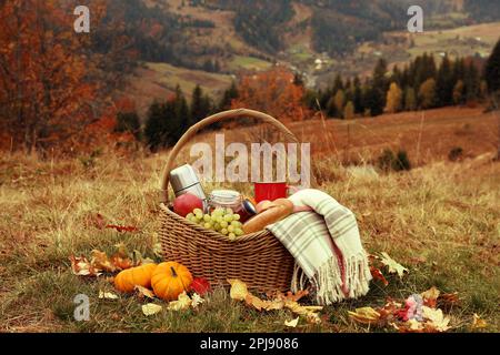 Picknickkorb aus Korb mit Thermoskanne, Snacks und Karo-Natur am Herbsttag Stockfoto