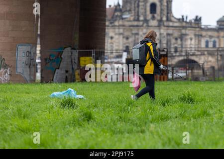 Dresden, Deutschland. 01. April 2023. Eine Frau von der Deutschen Post AG benutzt einen Greifer, um Müll für die Reinigung der Elbwiesen in Dresden aufzusammeln und lagert ihn in einem kleinen roten Sack, bevor er in einen großen blauen Sack neben ihr geht. Das Einsatzgebiet der erstreckt sich auf beiden Seiten der Elbe von Cossebaude bis Pillnitz und ist insgesamt 30 km lang. Kredit: Daniel Schäfer/dpa/Alamy Live News Stockfoto