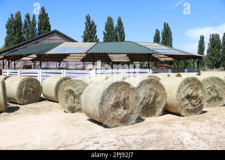 Strohrollenballen. Gestapelte Strohballen in einer Tierfarm. Konzept der Hoflagerung. Viel Heu. Pferdefutterlager. Farm Animal Care Stockfoto