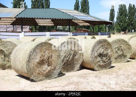 Strohrollenballen. Gestapelte Strohballen in einer Tierfarm. Konzept der Hoflagerung. Viel Heu. Pferdefutterlager. Farm Animal Care Stockfoto