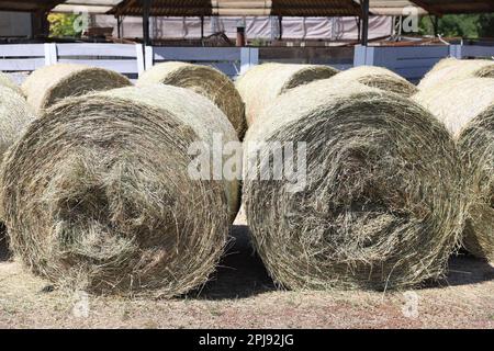 Strohrollenballen. Gestapelte Strohballen in einer Tierfarm. Konzept der Hoflagerung. Viel Heu. Pferdefutterlager. Farm Animal Care Stockfoto