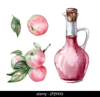 Glas Apfelessig und reife Äpfel. Satz handgezeichneter Aquarellabbildungen, isoliert auf weißem Hintergrund. Stockfoto
