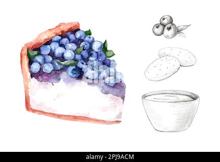 Heidelbeere. Käsekuchen mit Beeren. Aquarelle botanische Illustrationen. Handgemalte Aquarelle Blaubeere auf weißem Hintergrund. Stockfoto