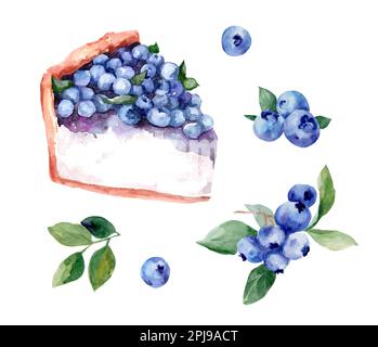 Heidelbeere. Käsekuchen mit Beeren. Aquarelle botanische Illustrationen. Handgemalte Aquarelle Blaubeere auf weißem Hintergrund. Stockfoto