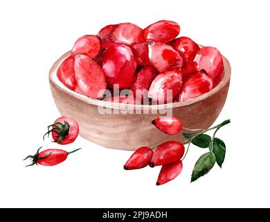 Schüssel mit Rosenhüften. Handgezeichnete Aquarell-Illustration Stockfoto