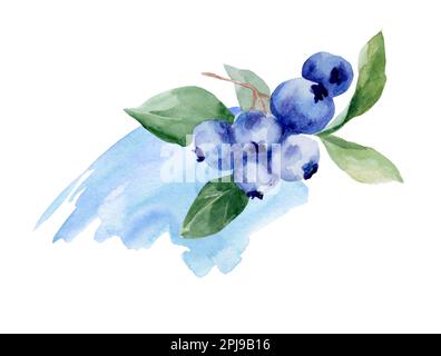 Blaubeeren mit Blättern. Grafische Handabbildung isoliert auf weißem Hintergrund. Gesunde Lebensmittel, Beeren, Vitamine, Vegetarismus Stockfoto