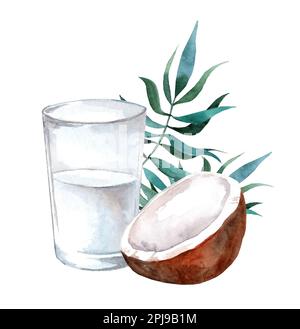 Kokosmilch in einem Glas in Zusammensetzung mit offener Kokosnuss mit weißem Fleisch. Aquarelldarstellung. Bio gesunde Ernährung vegan Produkt weit verbreitet in Stockfoto