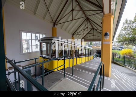 Dresden, Deutschland. 01. April 2023. Am oberen Bahnhof fährt eine der beiden Dresdner Standseilbahnen in Richtung Körnerplatz ab. Diese mobilen Denkmäler sind ein einzigartiger Schatz der Dresdner Verkehrsbetriebe AG und bekannt für ihre Fans. Kredit: Daniel Schäfer/dpa/Alamy Live News Stockfoto