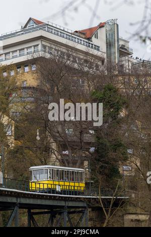 Dresden, Deutschland. 01. April 2023. Die Dresdner Standseilbahn kehrt nach einer Frühjahrsüberholung zum normalen PNV-Dienst zwischen Körnerplatz und Weißer Hirsch zurück. Diese mobilen Denkmäler sind ein einzigartiger Schatz der Dresdner Verkehrsbetriebe AG und bekannt für ihre Fans. Kredit: Daniel Schäfer/dpa/Alamy Live News Stockfoto