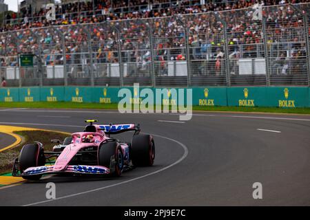 Melbourne, Australien. 01. April 2023. 1. April 2023: Melbourne Grand Prix Circuit, Melbourne, Victoria, Australien: Australian Formula 1 Grand Prix: Qualifizierung: Alpenfahrer Pierre Gasly Nummer 10 während der Qualifizierung für die australische Formel 1 Gutschrift: Action Plus Sports Images/Alamy Live News Stockfoto