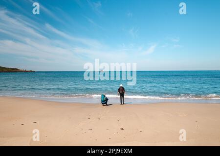 Machen Sie einen Spaziergang entlang des Atlantischen Ozeans am Strand Praia da Ilha do Pessegueiro in der Nähe von Porto Covo, westliches Portugal. Treppen über Rota Vicentina. Stockfoto