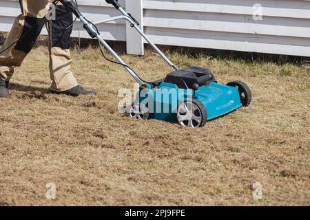Der Mensch-Gärtner, der Rasen mit einem Vertikutierer erscharft, erscharft den Rasen und entfernt altes Gras Stockfoto