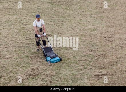 Der Mensch-Gärtner, der Rasen mit einem Vertikutierer erscharft, erscharft den Rasen und entfernt altes Gras Stockfoto