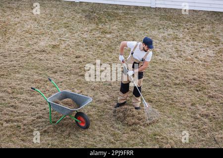 Der Mensch-Gärtner, der den Rasen mit Rechen und Schreckgespenst erschreckt, schreckt den Rasen und entfernt altes Gras Stockfoto