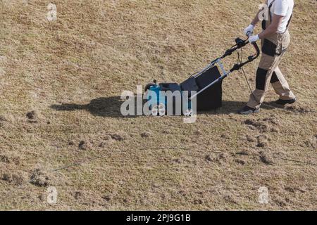 Der Mensch-Gärtner, der Rasen mit einem Vertikutierer erscharft, erscharft den Rasen und entfernt altes Gras Stockfoto