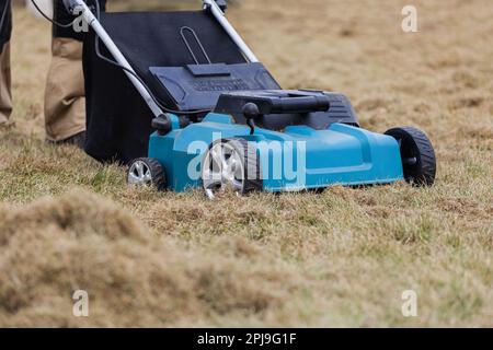 Der Mensch-Gärtner, der Rasen mit einem Vertikutierer erscharft, erscharft den Rasen und entfernt altes Gras Stockfoto