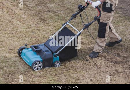 Der Mensch-Gärtner, der Rasen mit einem Vertikutierer erscharft, erscharft den Rasen und entfernt altes Gras Stockfoto